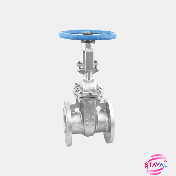 Stainless Steel Gate Valve RF End